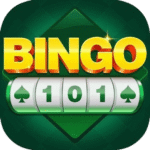 BINGO 101